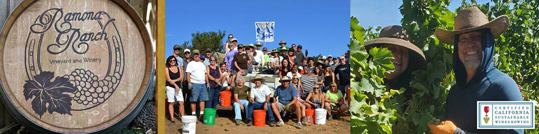 Ramona Ranch Banner - Wine Barrel and Friends in Vineyard